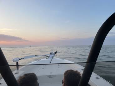 Charleston Report Photo 1