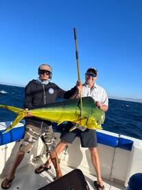 Cabo San Lucas Report Photo 1
