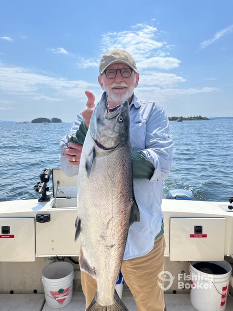 Nice 15 Pound Sidney Hatchery Chinook