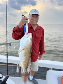 Venice Report Photo 2