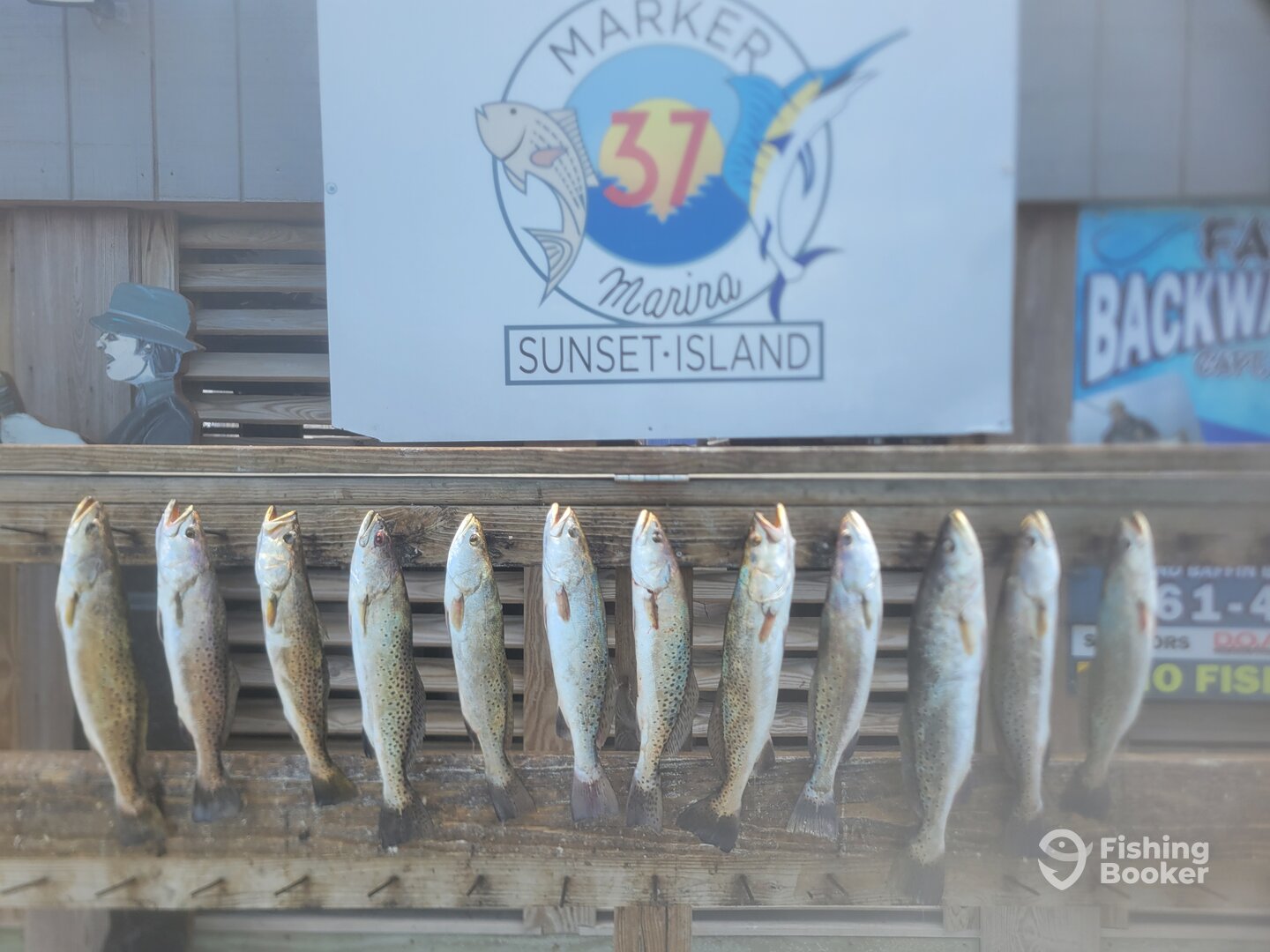 Corpus Christi Report Photo 0