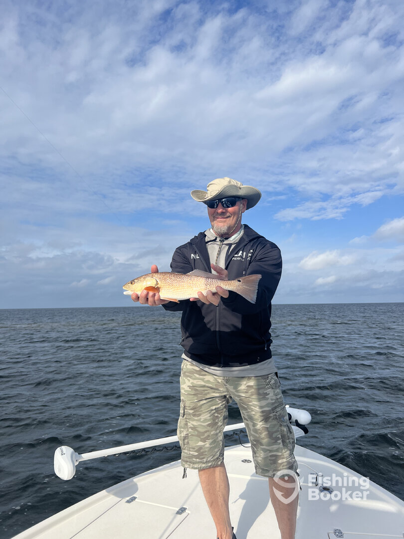 Crawfordville Report Photo 0