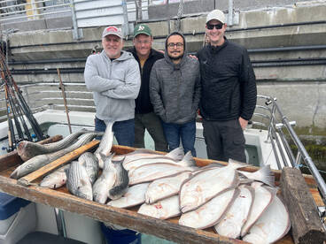 San Francisco Report Photo 1