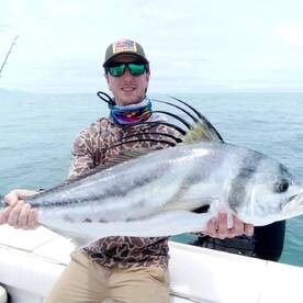 1 June 2023  amazing and healty rooste