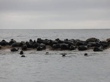 The Beauty of Block Island 