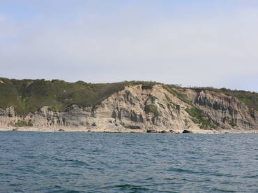 Narragansett Report Photo 2