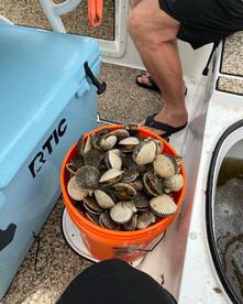 Crystal River Report Photo 2