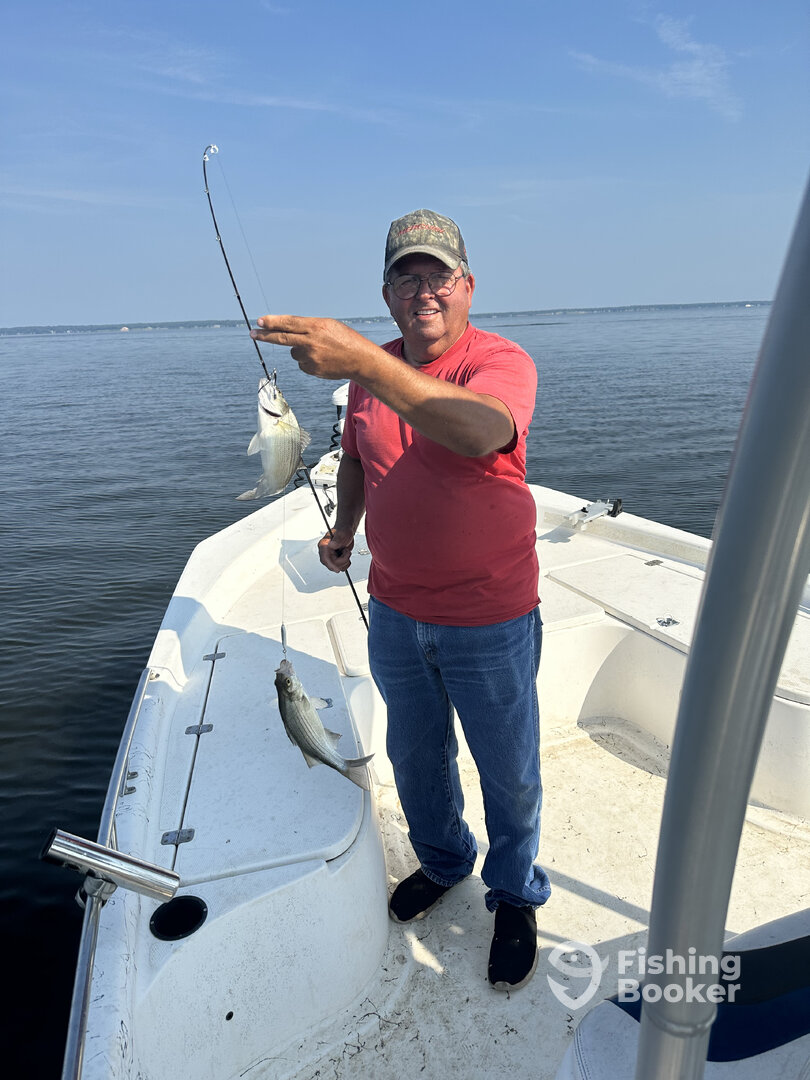 Livingston Report Photo 0