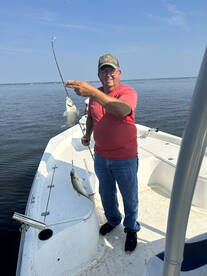 White bass are on fire??