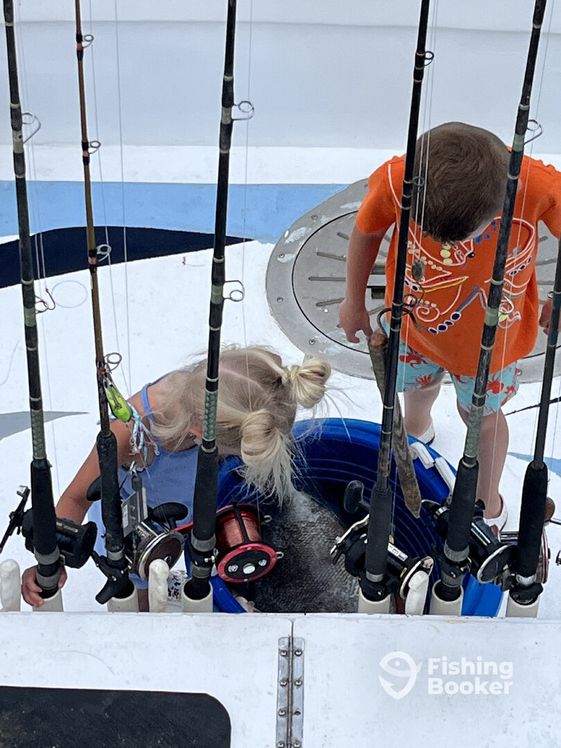 Orange Beach Report Photo 0