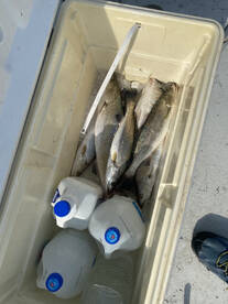 Limits of Specks and still got to lunch 