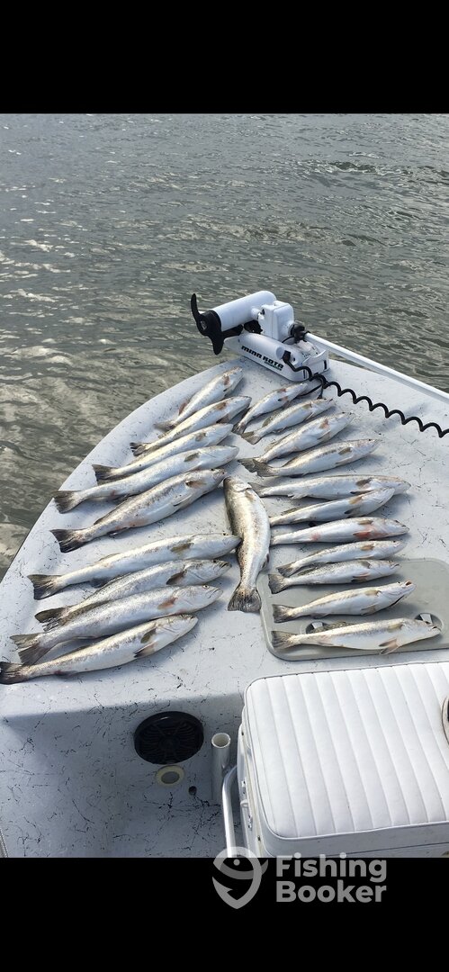 Galveston Report Photo 0
