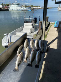 Galveston Report Photo 1
