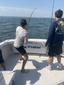 New York City Report Photo 2