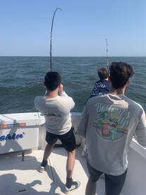 New York City Report Photo 1