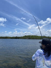 New Smyrna Beach Report Photo 2