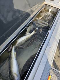 Lakeside Marblehead Report Photo 1