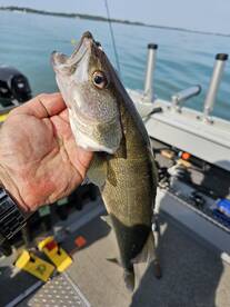 Lakeside Marblehead Report Photo 2