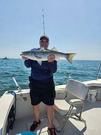 Dennis Report Photo 1