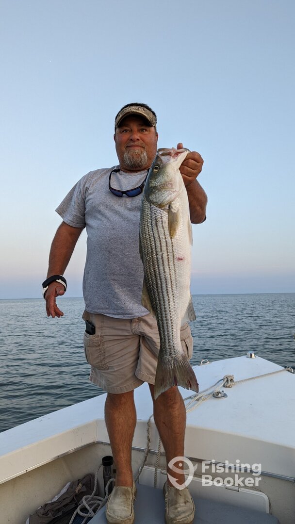 Crisfield Report Photo 0