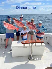 Snapper season is here 