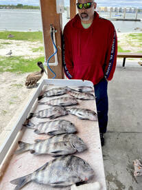 Jacksonville Report Photo 2