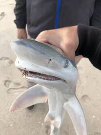 Beach Fishing Family Excursions