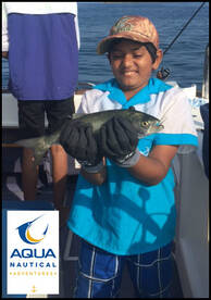 SHAD FOR THE KIDS