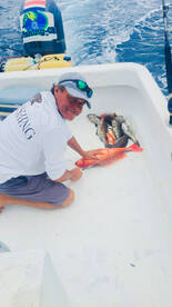 Herradura Report Photo 1