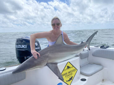 Big Spinner sharks in June!