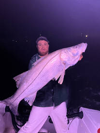 Big Snook! 
