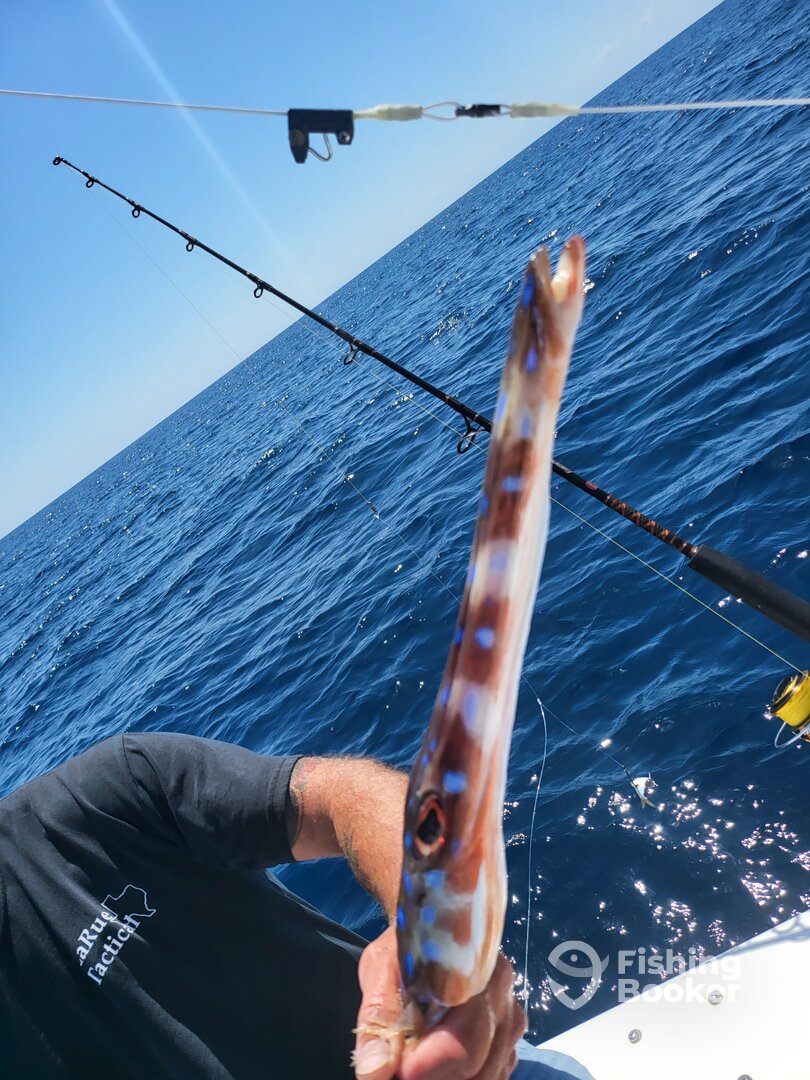 Seabrook Island Report Photo 0
