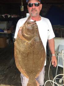 Hampton Bays Report Photo 1