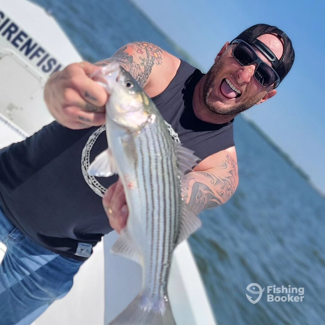 Pasadena Report Photo 0