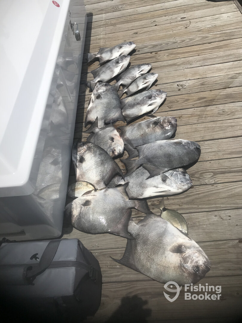 North Myrtle Beach Report Photo 0