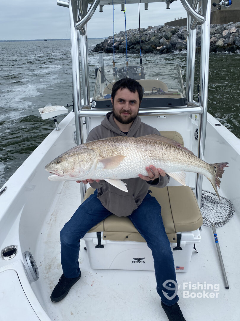 Charleston Report Photo 0