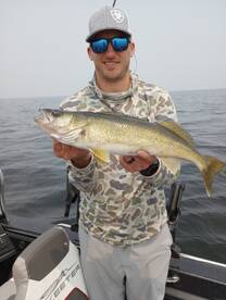 Winnebago has been ON Fire!!!!!