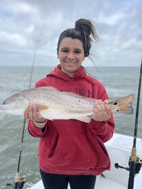 Manteo Report Photo 1