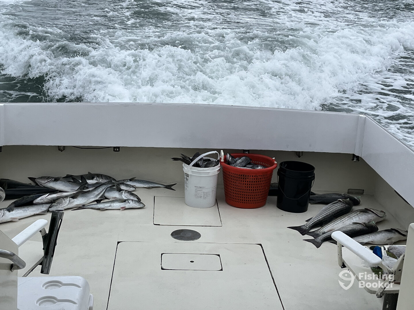 Montauk Report Photo 0