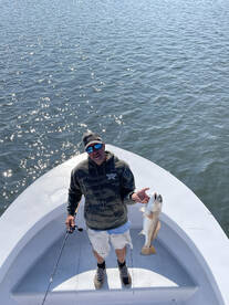 Sight casting red drum