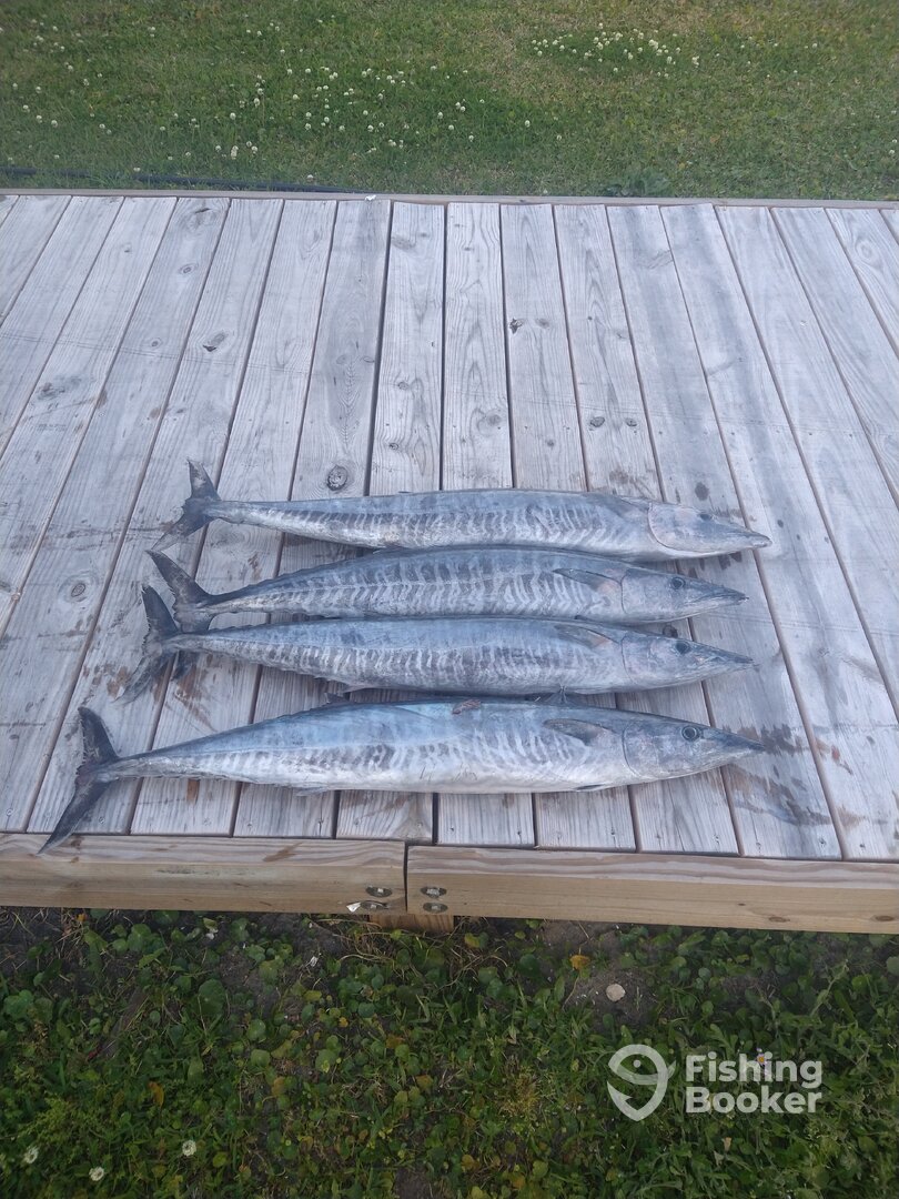 Sneads Ferry Report Photo 0
