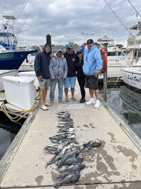 Belmar Report Photo 2
