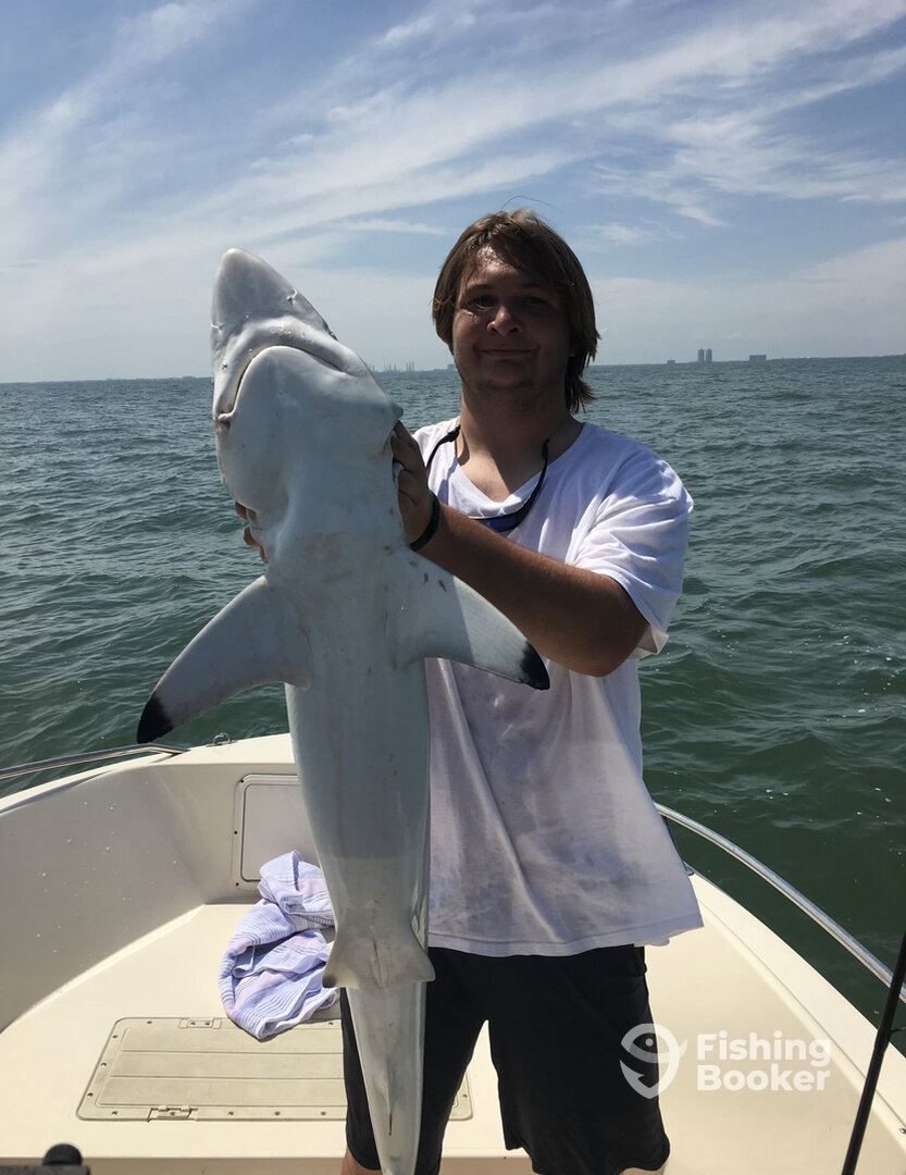 Galveston Report Photo 0