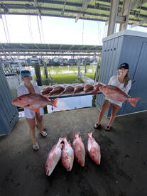 Galveston Report Photo 1