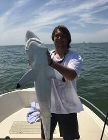 Amazing weather and fishing this week