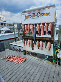 Bookin, hookin and cookin