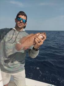 Panama City Report Photo 2