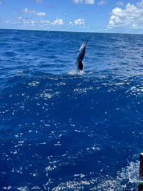 Stock Island Report Photo 2