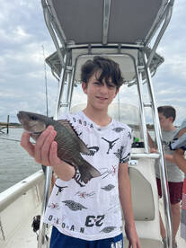 Palm Coast Report Photo 2