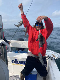 Seabass and striped bass 